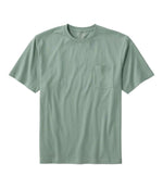 Men's Carefree Unshrinkable Tee with Pocket, Traditional Fit - US 5194