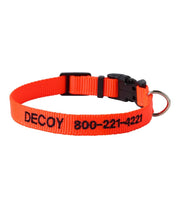 Electric Orange