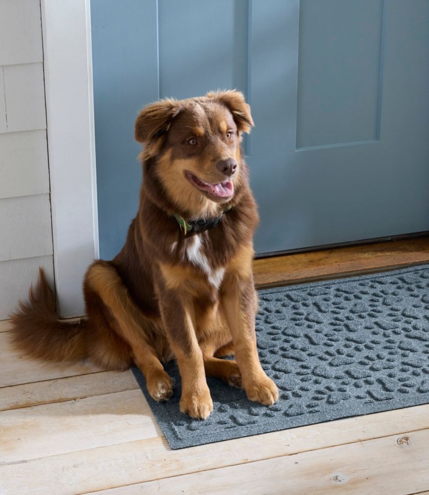 Recycled Waterhog Dog Mat, Scattered Paws - US 7312